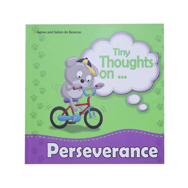 Tiny Thoughts on Perseverance
