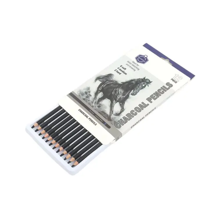 Keep Smiling Professional 12pcs Charcoal Pencil