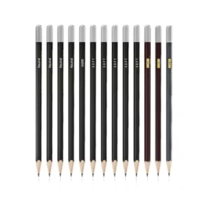 Professional Charcoal Pencils Drawing Set -10 Pieces