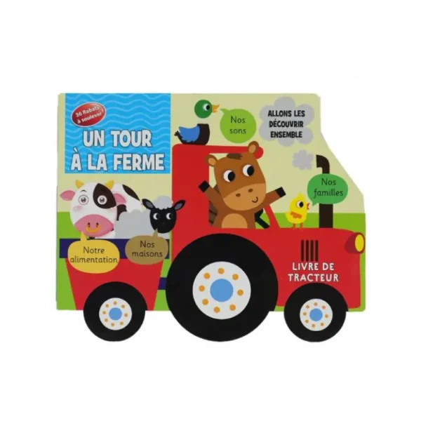 The School Bus Book - A School Life Tour