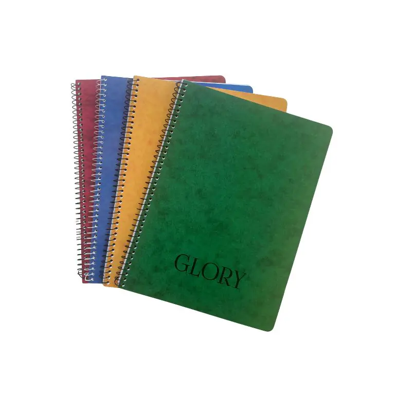 A4 Grid Copybook - Glory Pedia